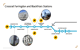 Crossrail Farringdon and Blackfriars Stations